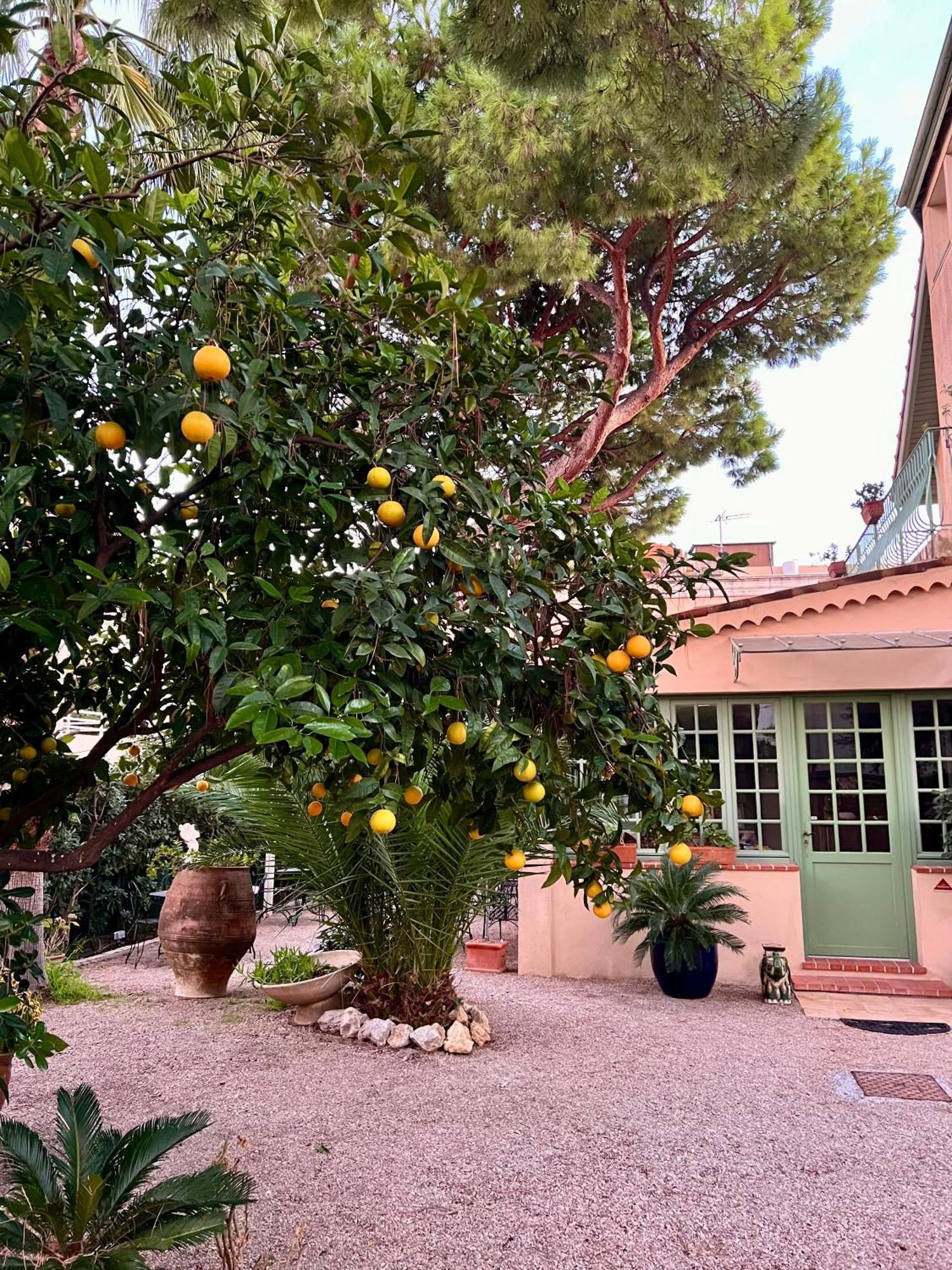 Hotel Le Ponteil อองทีบส์ ภายนอก รูปภาพ
